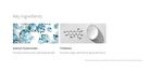Lagom Peptide Micro Needle Patch - 4 pairs