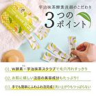 pdc Wafood Made Matcha Enzyme Face Wash Powder - 30 pcs