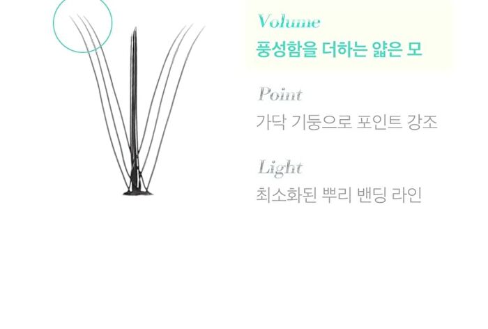 Toktok-Hara W Eyelash - 4 Types - 11mm