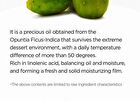 Hyaluronic Acid Water Essence - New Version - 50ml
