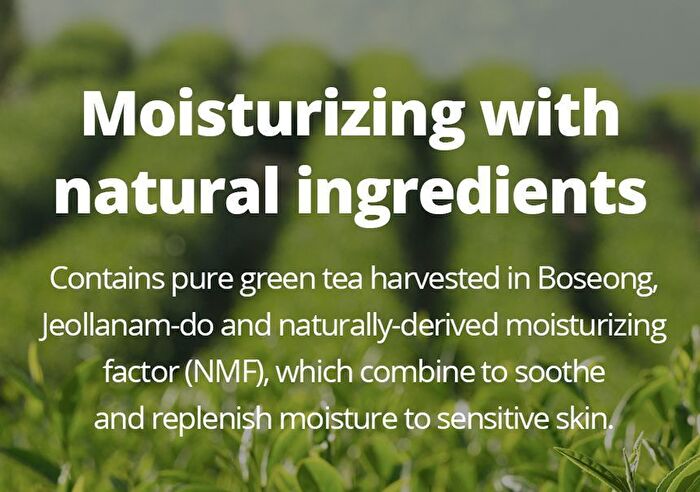 Green Tea Water Cream - 2022 Version - 100ml