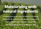 Green Tea Water Cream - 2022 Version - 100ml