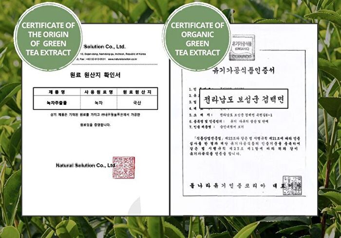 Green Tea Water Cream - 2022 Version - 100ml