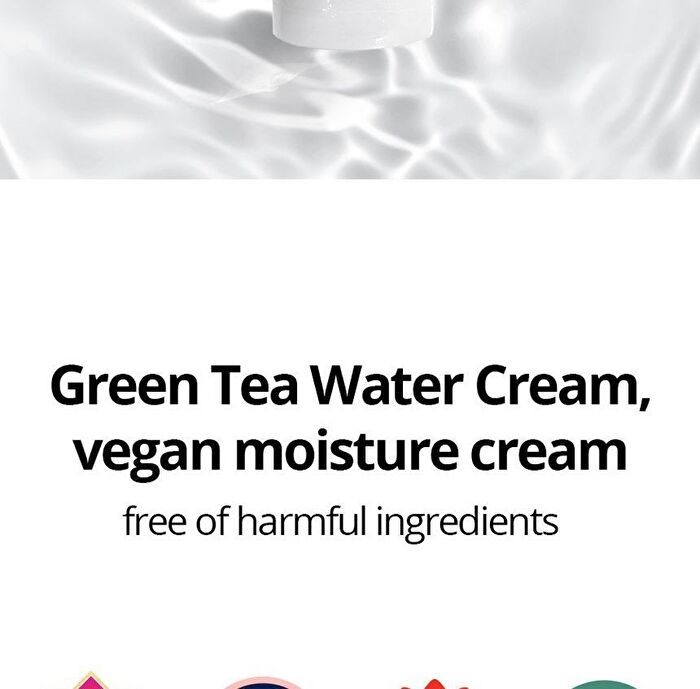 Green Tea Water Cream - 2022 Version - 100ml