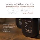 Black Tea Boosting Serum - 45ml