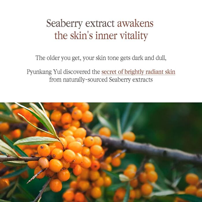 Black Tea Boosting Serum - 45ml