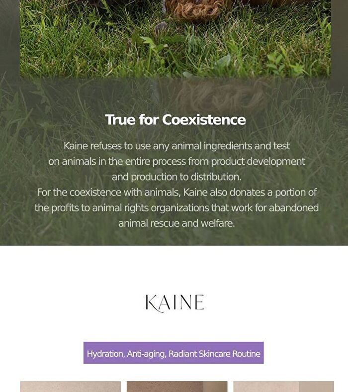 Kaine Chaga Collagen Charging Serum - 30ml