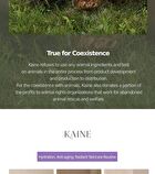Kaine Chaga Collagen Charging Serum - 30ml