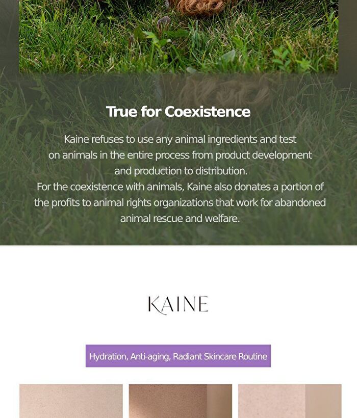 Kaine Kombu Balancing Ampoule Toner - 150ml