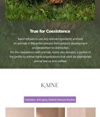 Kaine Kombu Balancing Ampoule Toner - 150ml