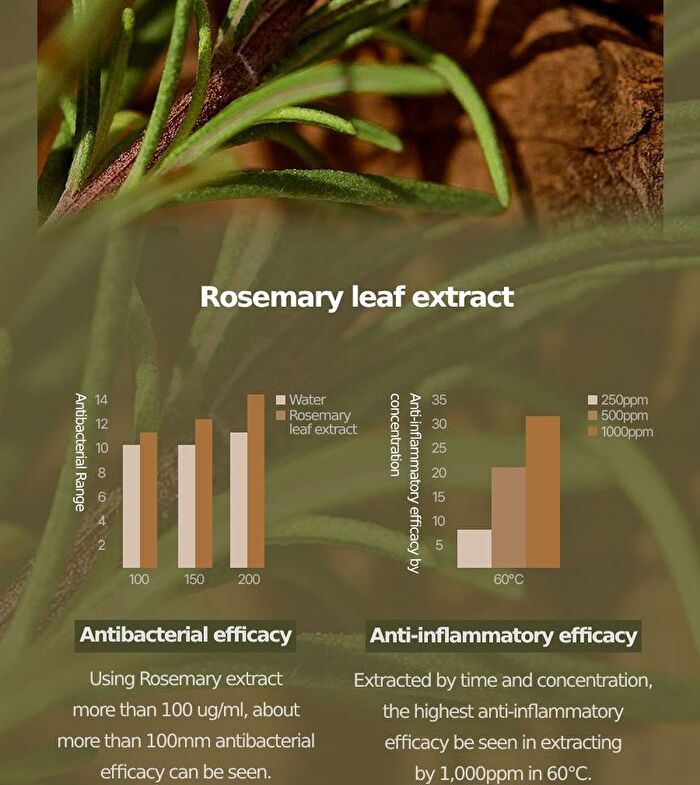 Kaine Rosemary Relief Gel Cleanser - 150ml