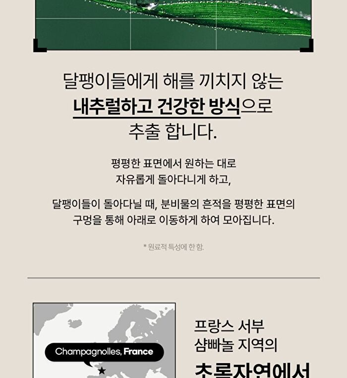 Snail Solution Cream - 52ml