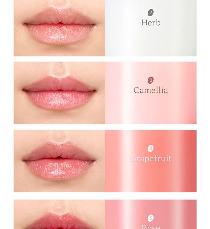 Essential Lip Balm - 5 Colors - #02 Herb