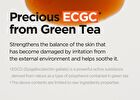 Green Tea Fresh Serum - New Version - 50ml