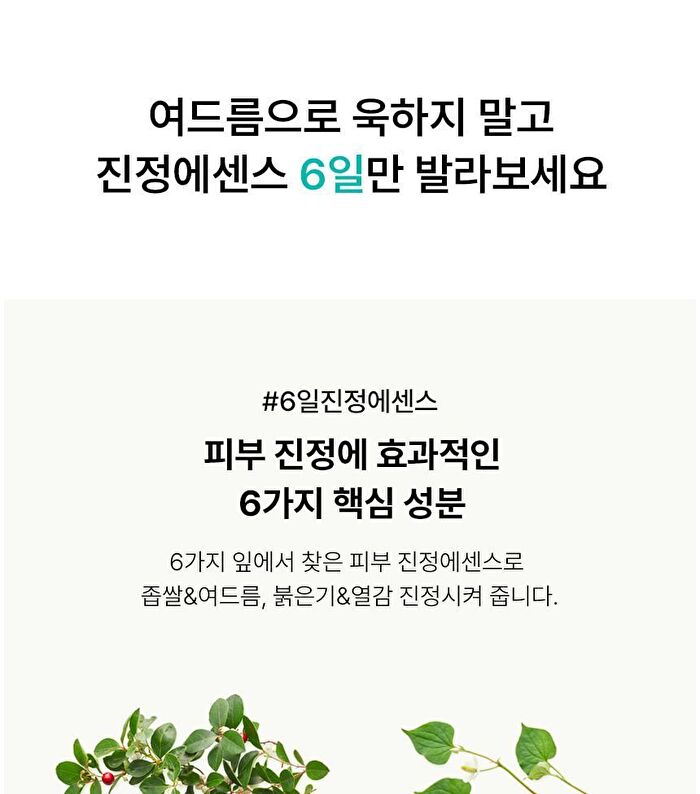 Blithe Vital Treatment 6 Calming Leaves - 150ml