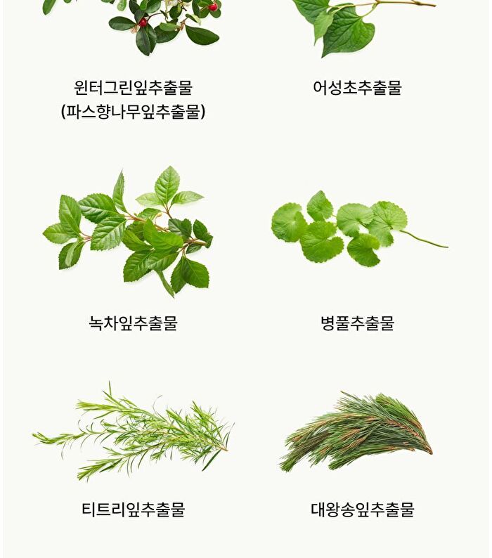 Blithe Vital Treatment 6 Calming Leaves - 150ml