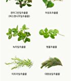 Blithe Vital Treatment 6 Calming Leaves - 150ml