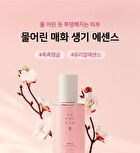 Yehwadam Plum Flower Revitalizing Serum - 45ml