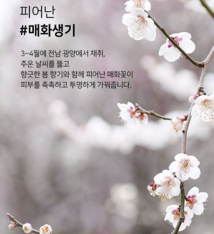 Yehwadam Plum Flower Revitalizing Serum - 45ml