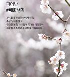 Yehwadam Plum Flower Revitalizing Serum - 45ml