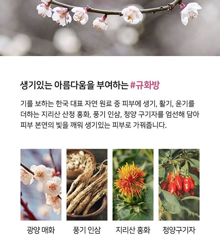 Yehwadam Plum Flower Revitalizing Serum - 45ml