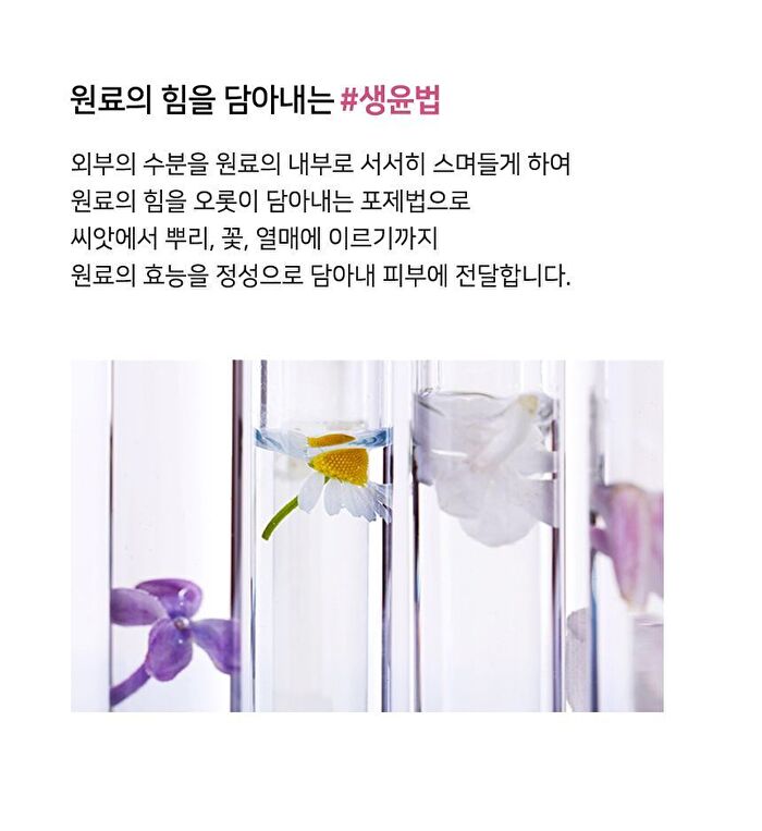 Yehwadam Plum Flower Revitalizing Serum - 45ml