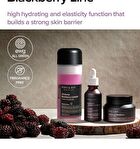 Vegan Blackberry Complex Cream Essence - 140ml