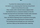 DIVE-IN Low Molecular Hyaluronic Acid Cleansing Foam - 150ml