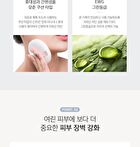 Sun Cushion - 12g