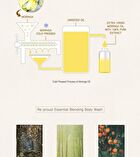 Re:proust Essential Blending Body Wash - 3 Types - Earthy