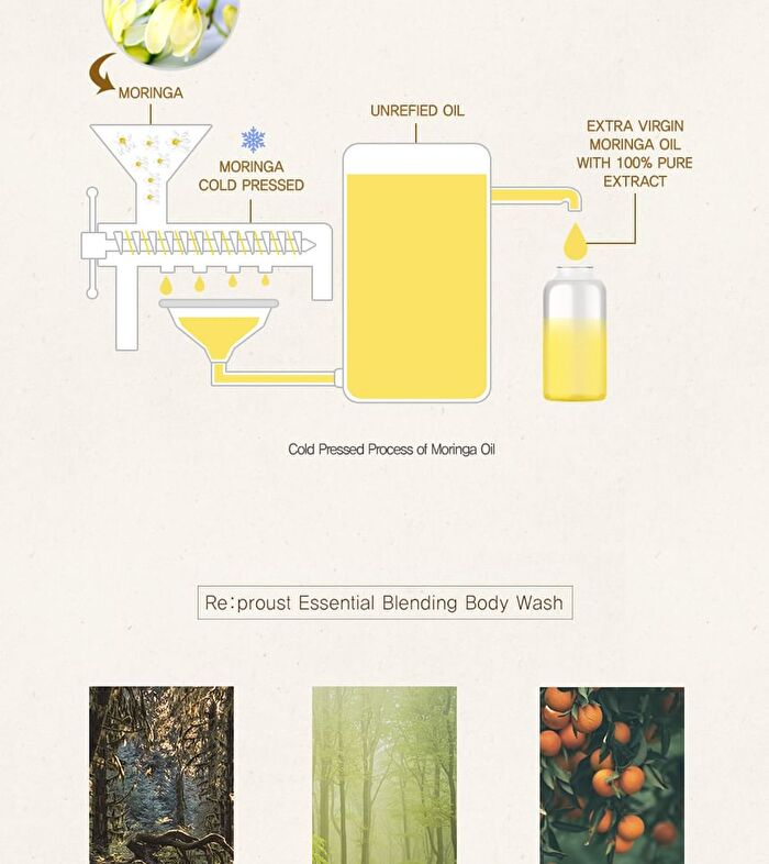 Re:proust Essential Blending Body Wash - 3 Types - Greenery