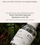 Waterfall Moist Balanced Hyaluronic Acid 100 - 30ml