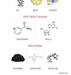 Meditime Neo Real Collagen Cream - 50ml