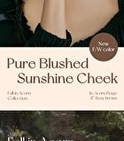 peripera Pure Blushed Sunshine Cheek - 13 Colors - #16 Acorn Beige