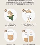Let Me Refresh Foam Cleanser - 120ml