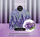 0121 Nail Strengthener Oil - 8ml