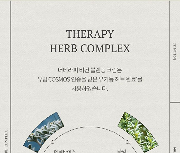 The Therapy Vegan Blending Cream - 60ml