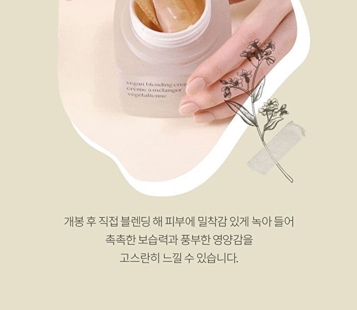 The Therapy Vegan Blending Cream - 60ml