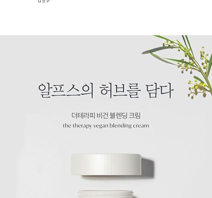 The Therapy Vegan Blending Cream - 60ml