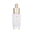 Concentrated Ginseng Brightening Spot Ampoule - 20g