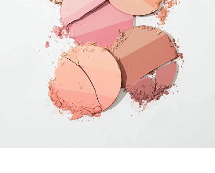 too cool for school Artclass By Rodin Blusher - 6 Types - De Mauve