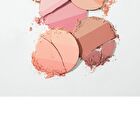too cool for school Artclass By Rodin Blusher - 6 Types - De Mauve