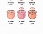 too cool for school Artclass By Rodin Blusher - 6 Types - De Mauve