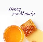 Ynm Natural Melting Honey Lip Balm - 3g