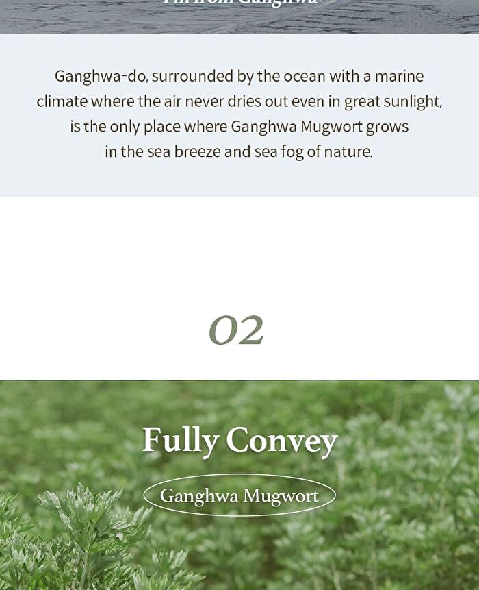 Mugwort Gel Cleanser - 2022 Version - 150ml