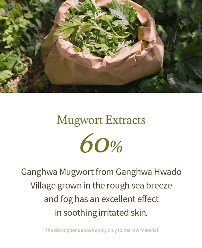 Mugwort Gel Cleanser - 2022 Version - 150ml