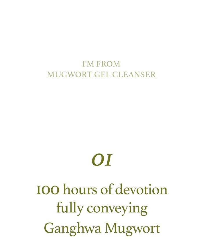 Mugwort Gel Cleanser - 2022 Version - 150ml