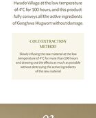 Mugwort Gel Cleanser - 2022 Version - 150ml
