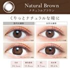 Natural One-Day Color Lens Natural Brown 20 pcs - P-0.00 (20 pcs)