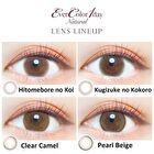 Natural One-Day Color Lens Natural Brown 20 pcs - P-3.50 (20 pcs)